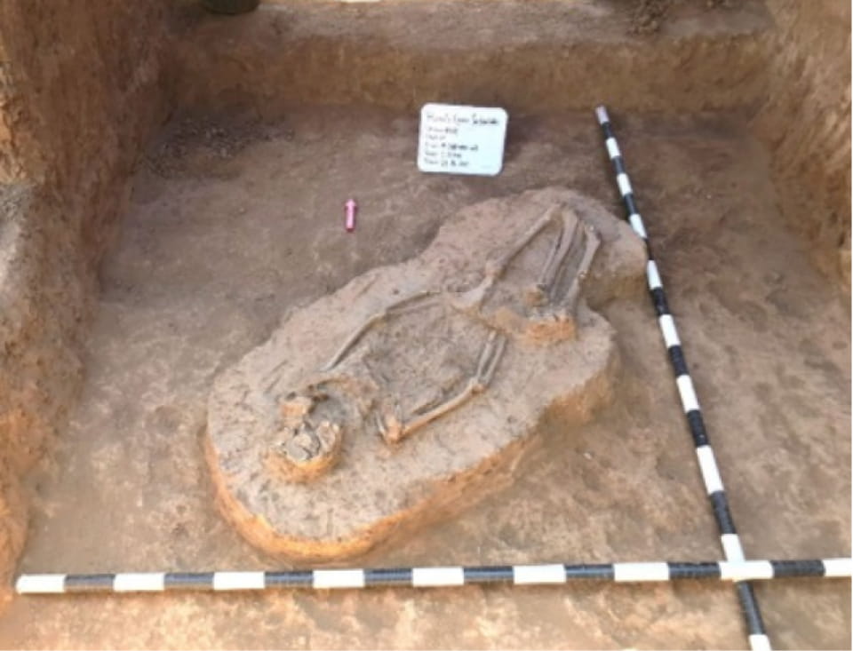 Egaña Comunidad Sustentable -  Rescate arqueológico